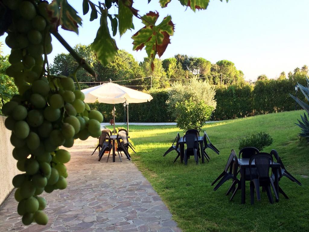 B&B Millennium Ladispoli Rom bilde